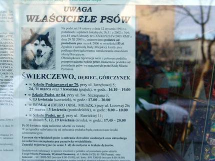 Citygallery.pl - galeria internetowa